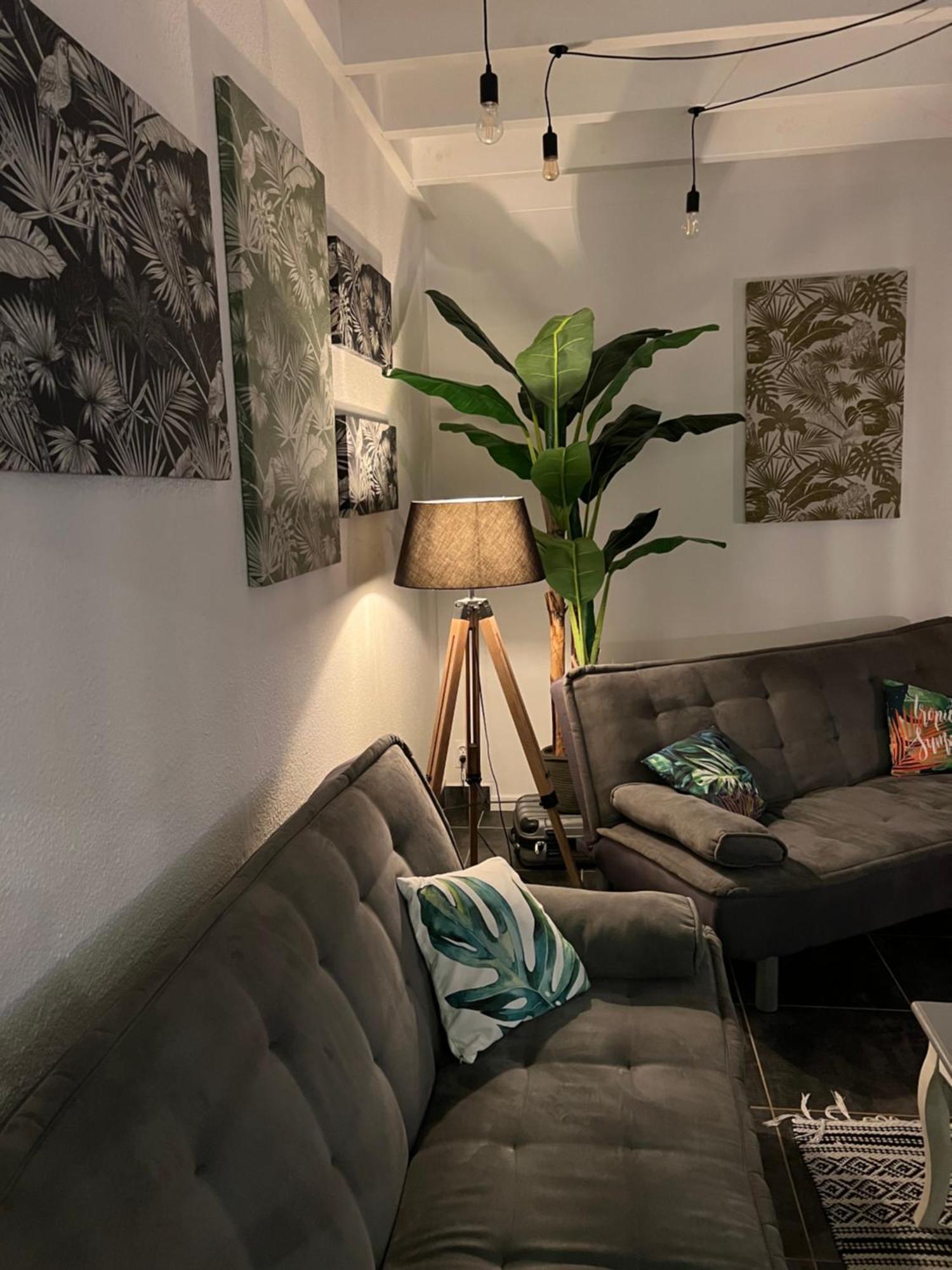 Appartement Spacieux Au Village Du Flamboyant Baie Nettle Bagian luar foto